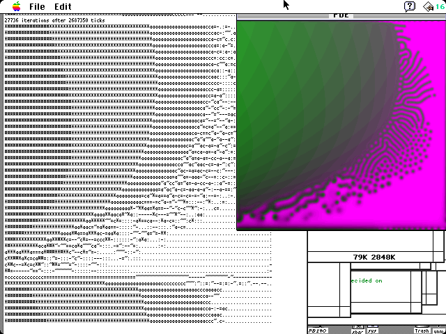 screen image of my Gray-Scott program in July 1994